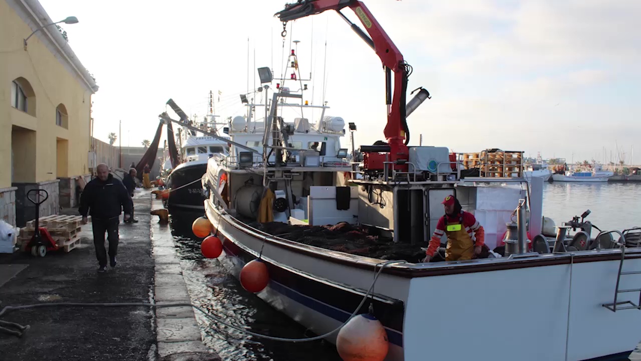 Imagen de Pescaturismo abre sus puertas a profesionales
