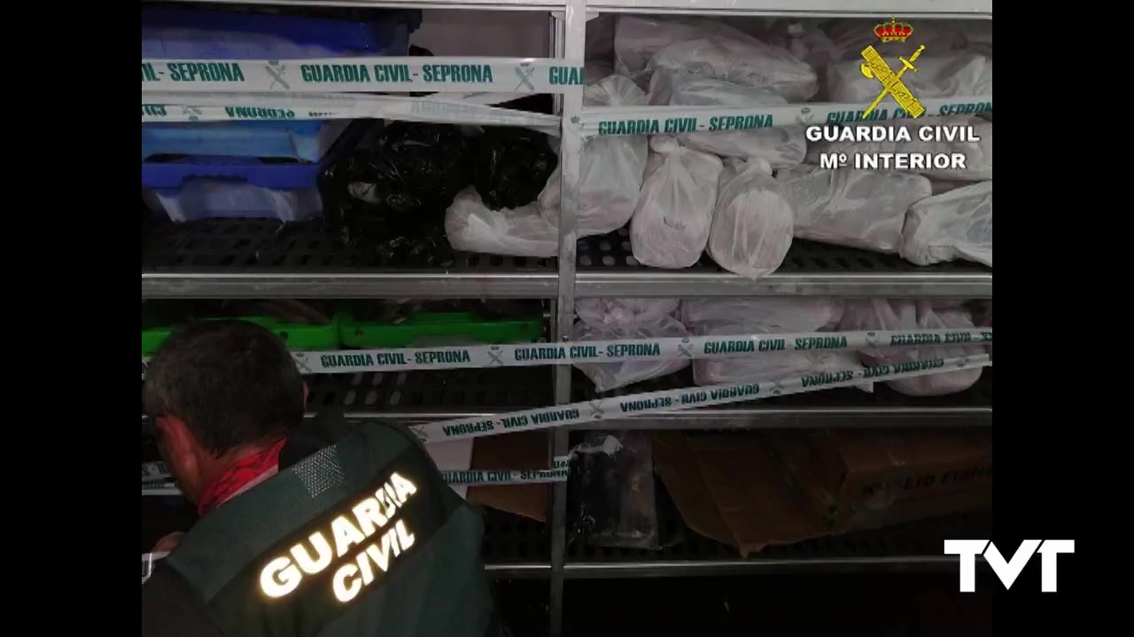 Imagen de La Guardia Civil incauta en Torrevieja 800 kilos de pescado de origen y características irregulares