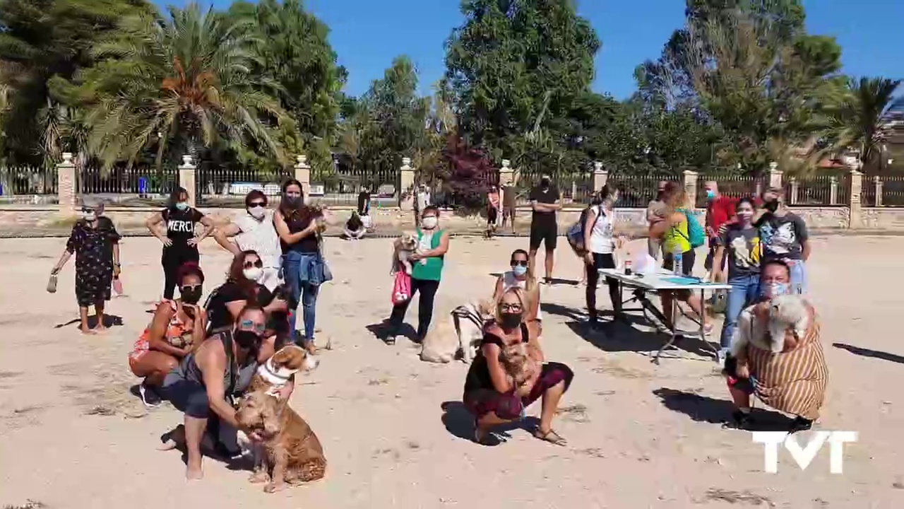 Imagen de Nueva concentración para pedir una playa digna para perros