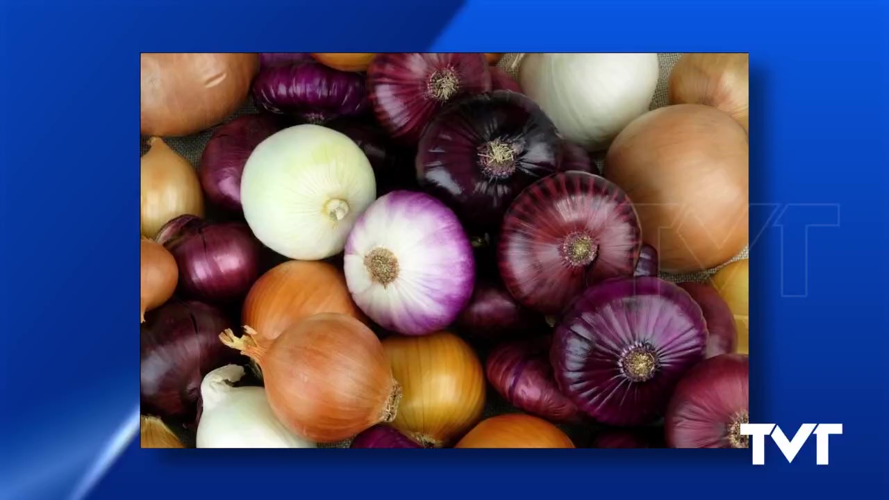 Imagen de El ajo y la cebolla son alimentos que ayudan a prevenir el cáncer de colon