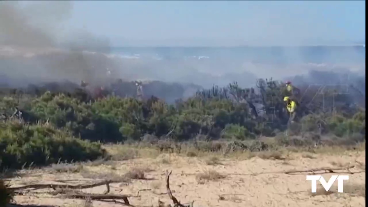 Imagen de Nuevo incendio de masa forestal en zona dunar entre La Mata y Guardamar