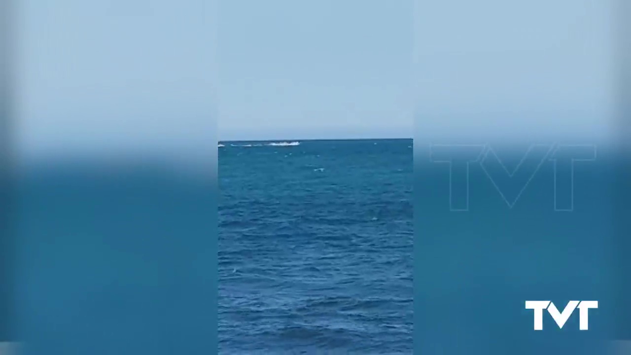 Imagen de La costa de Torrevieja, escenario de maniobras militares en fase de agua