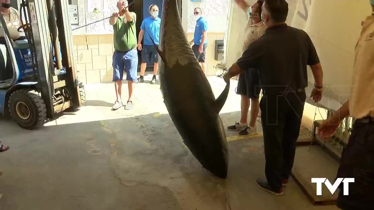 Imagen de Una embarcación torrevejense bate récords al capturar un atún de 410 kilos