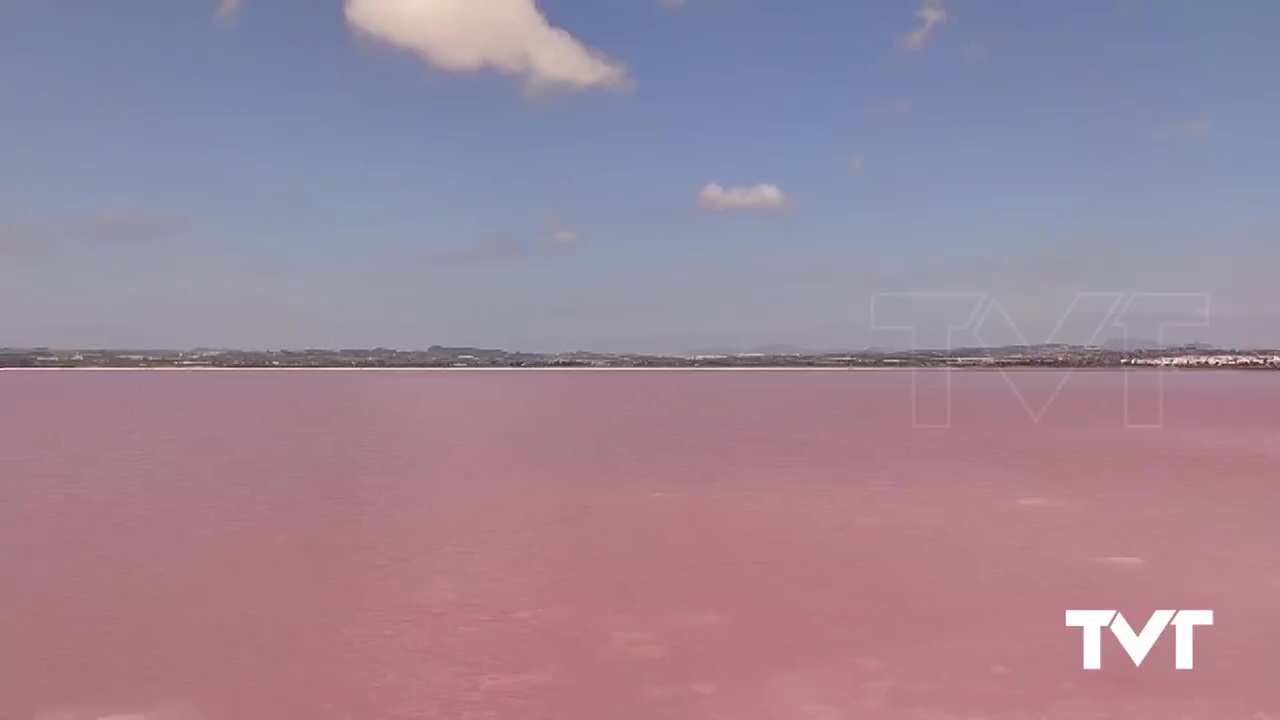 Imagen de La laguna salada de Torrevieja recupera su característico color rosa