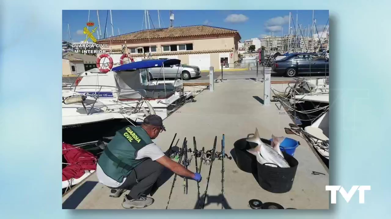 Imagen de SEPRONA denuncia un caso de presunta captura ilícita de marisco y pescado. Ha pasado en Torrevieja