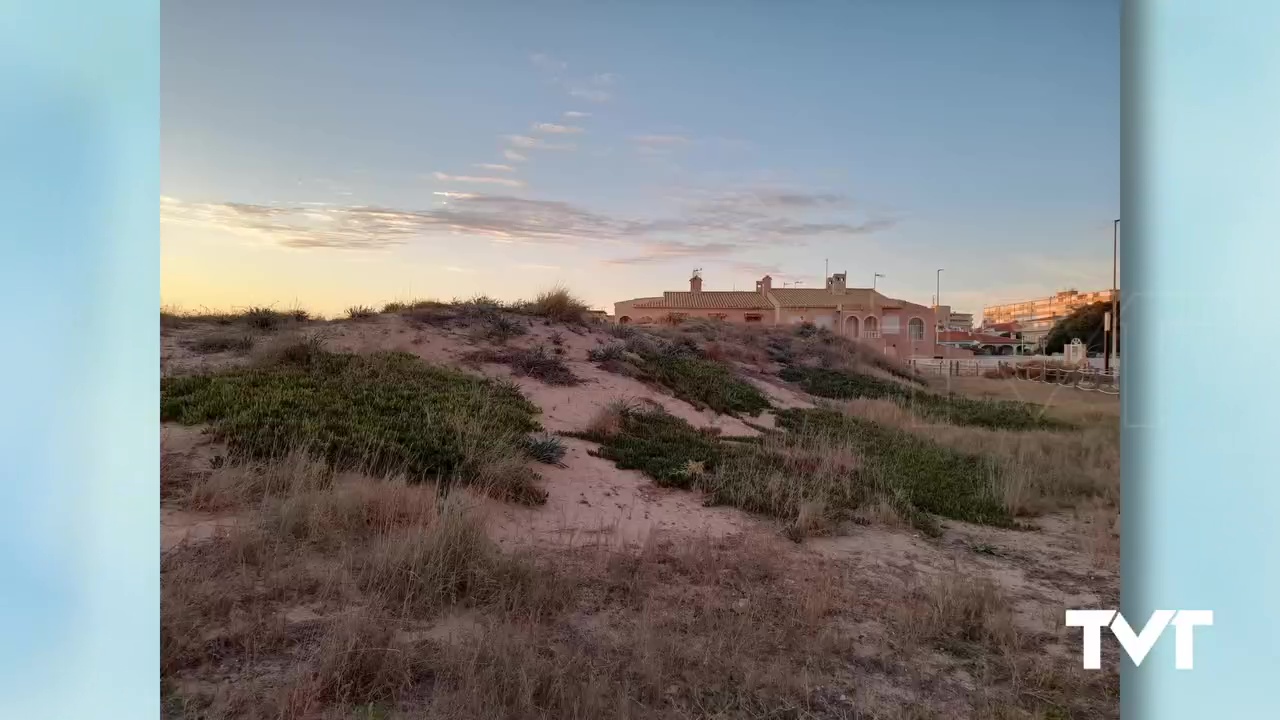 Imagen de Se retiran toneladas de planta invasora en el sistema dunar costero de La Mata