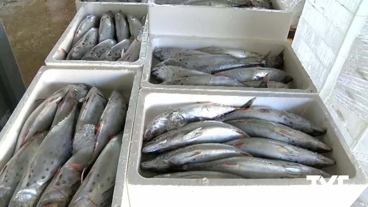 Imagen de Las Cofradías no tendrán que pagar durante 6 meses la tasa de primera venta de pescado fresco