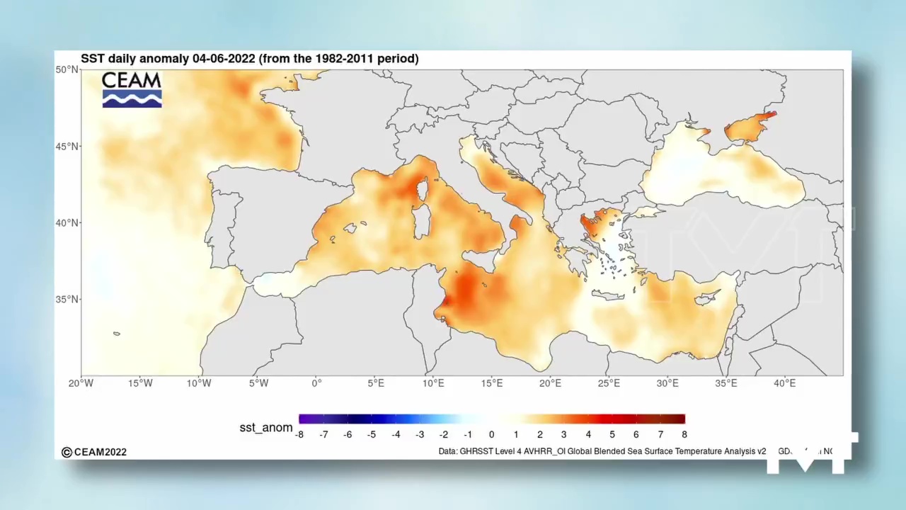 Imagen de Sube la temperatura del mar Mediterráneo