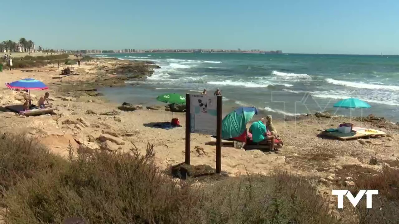 Imagen de El PP no disponía de autorización para instalar juego de agility y ducha para perros en la playa