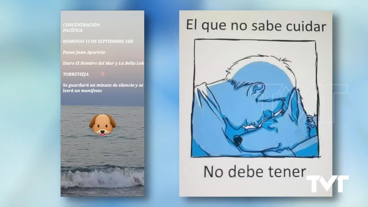 Imagen de El domingo 11 de septiembre habrá concentración por el perro fallecido en Nueva Torrevieja