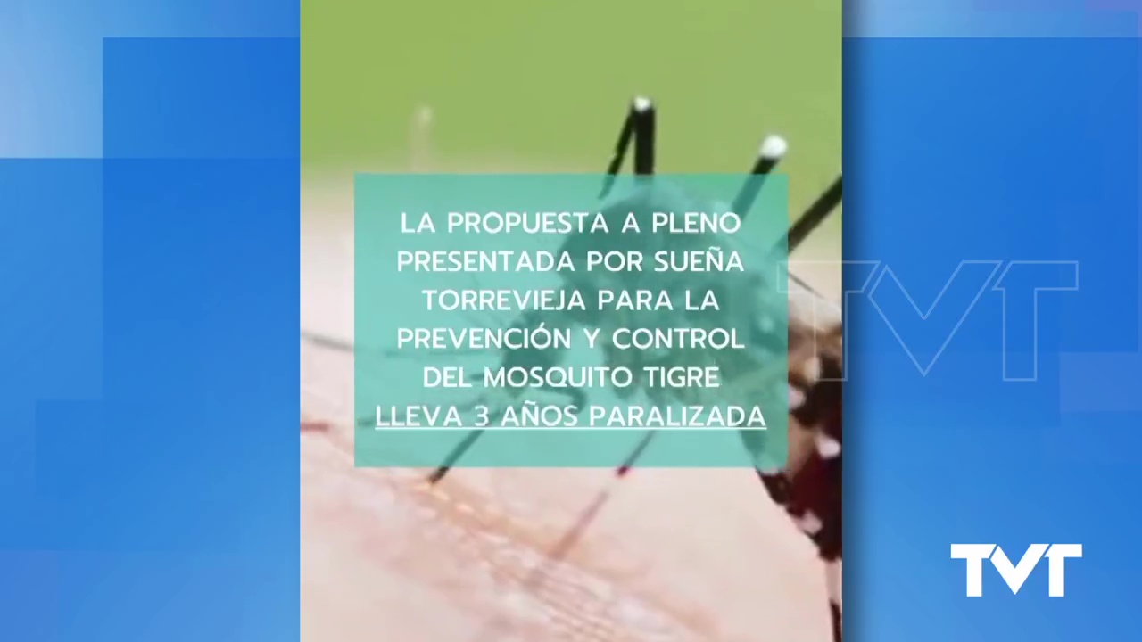 Imagen de Sueña Torrevieja pide una ordenanza para frenar el desarrollo de poblaciones larvarias de mosquito