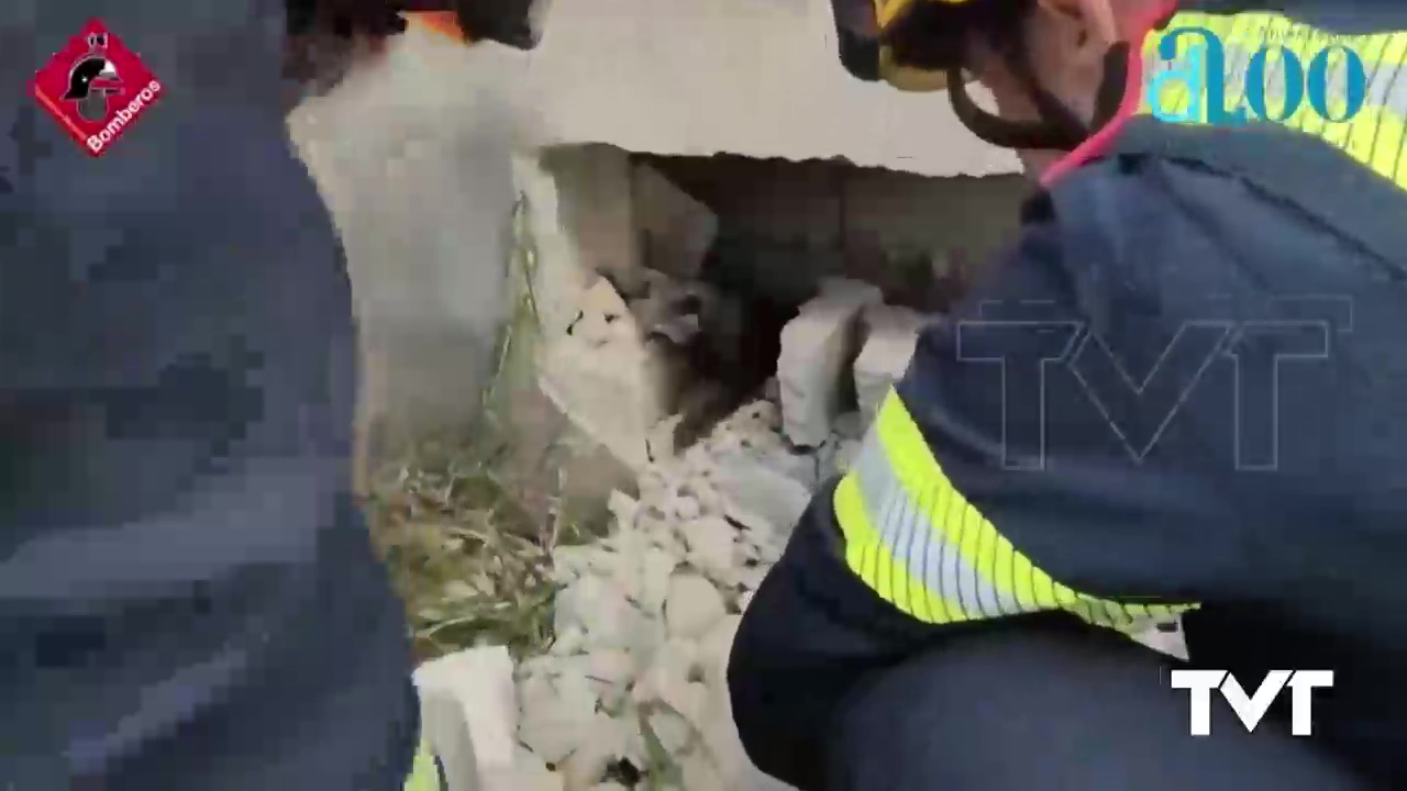 Imagen de Los bomberos logran salvar la vida de un pequeño gato que estaba atrapado entre dos muros