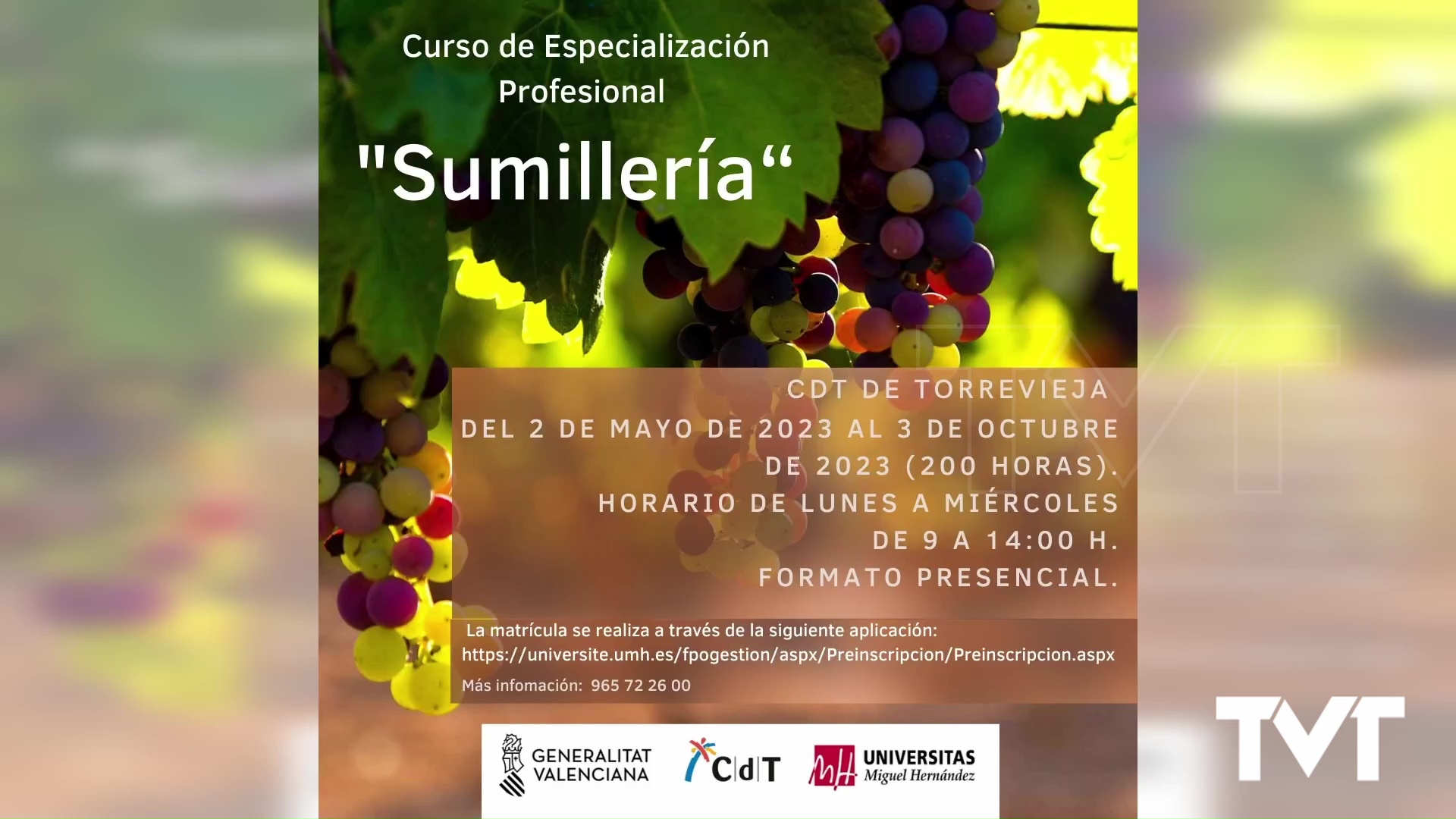 Imagen de El Consell destina 20.000 E a la UMH para el curso profesional de Sumiller en el CDT de Torrevieja