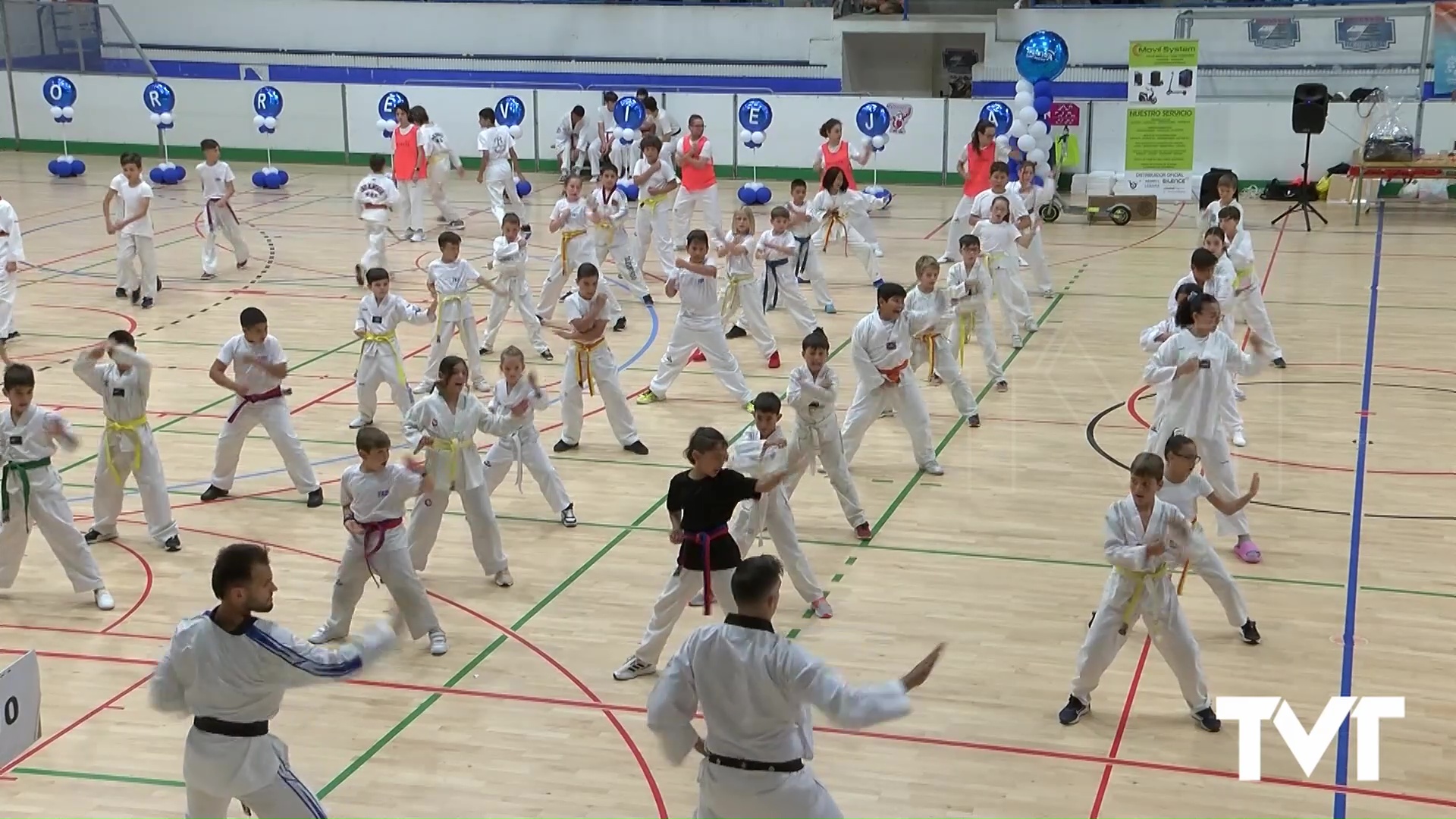 Imagen de Más de 200 alumnos participan en el IV Festival de Taekwondo Ciudad de Torrevieja