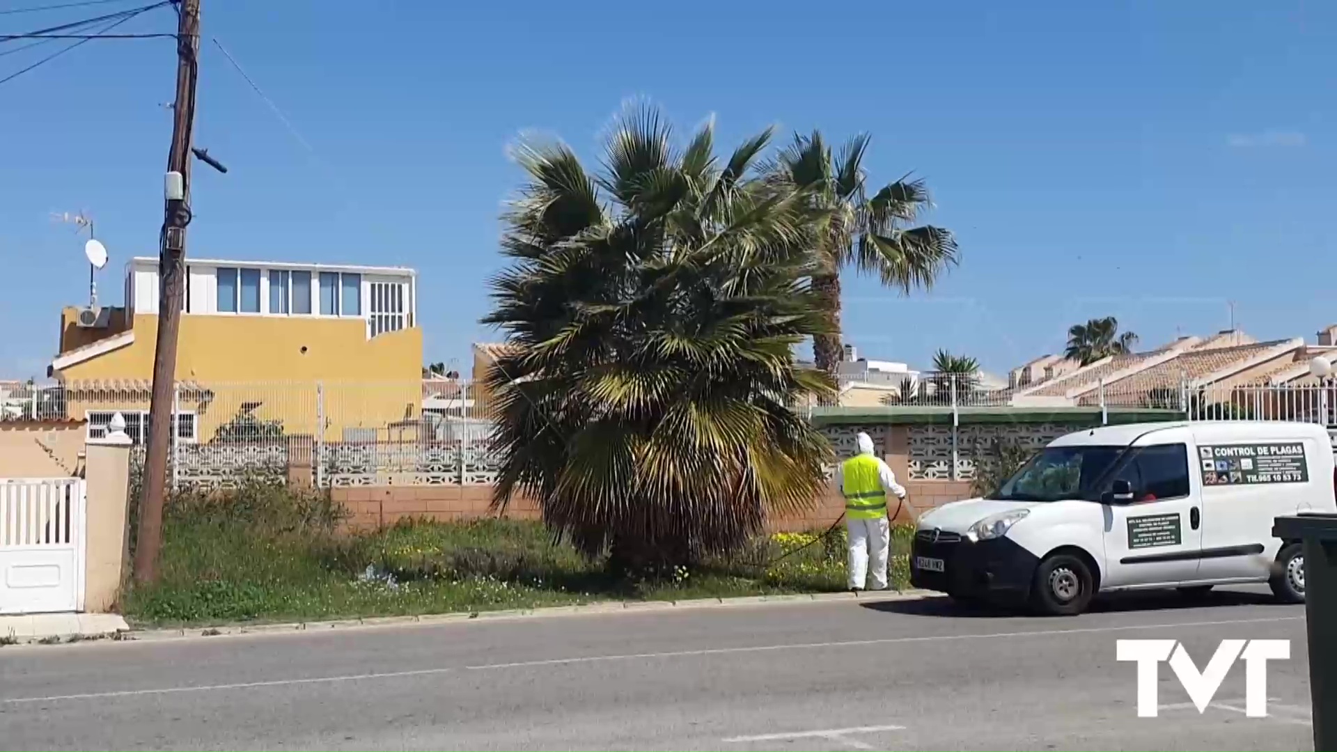 Imagen de El ayuntamiento pide a la ciudadanía colaboración para controlar al mosquito tigre