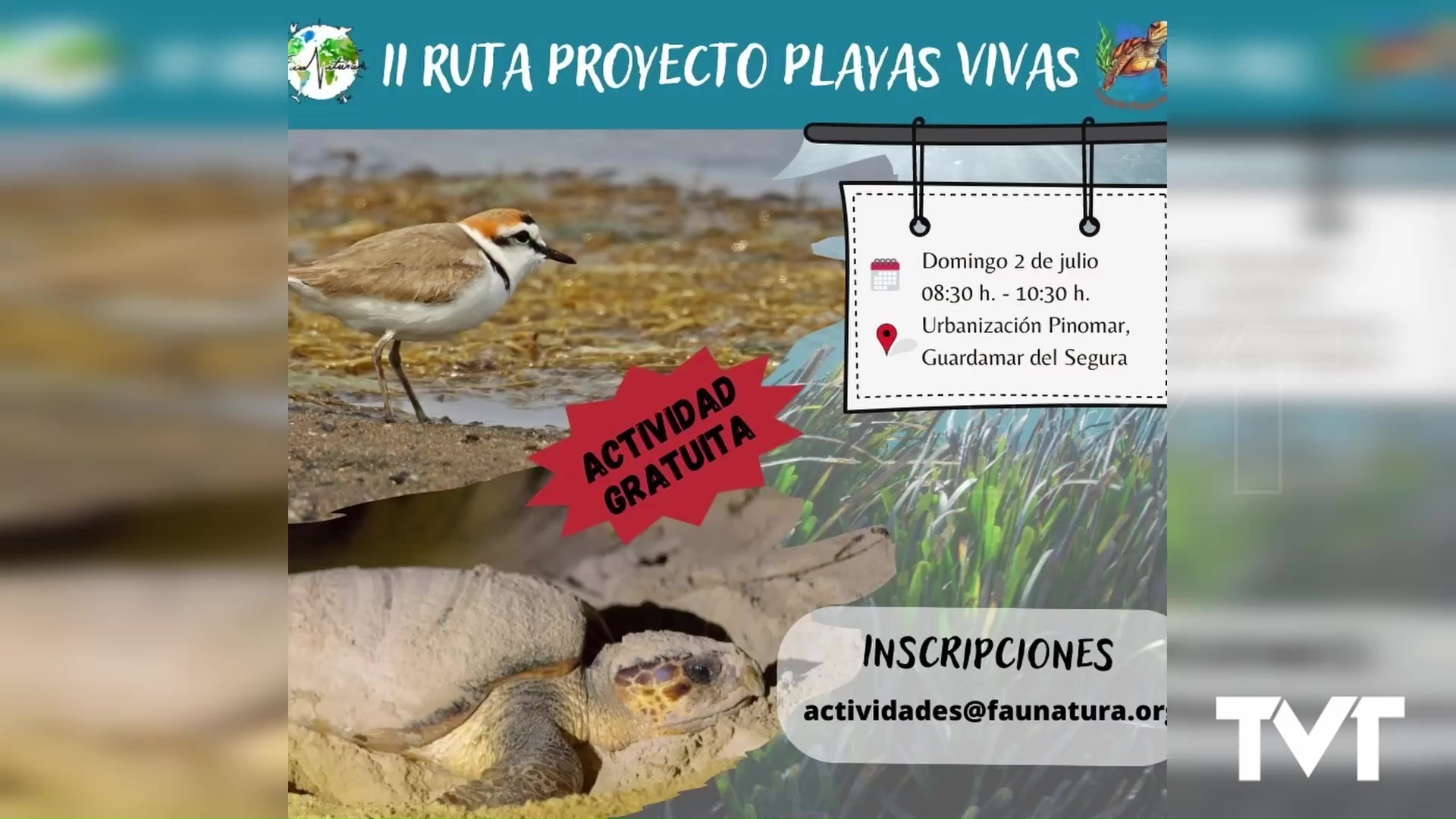 Imagen de Faunatura pone en marcha el proyecto Playas Vivas
