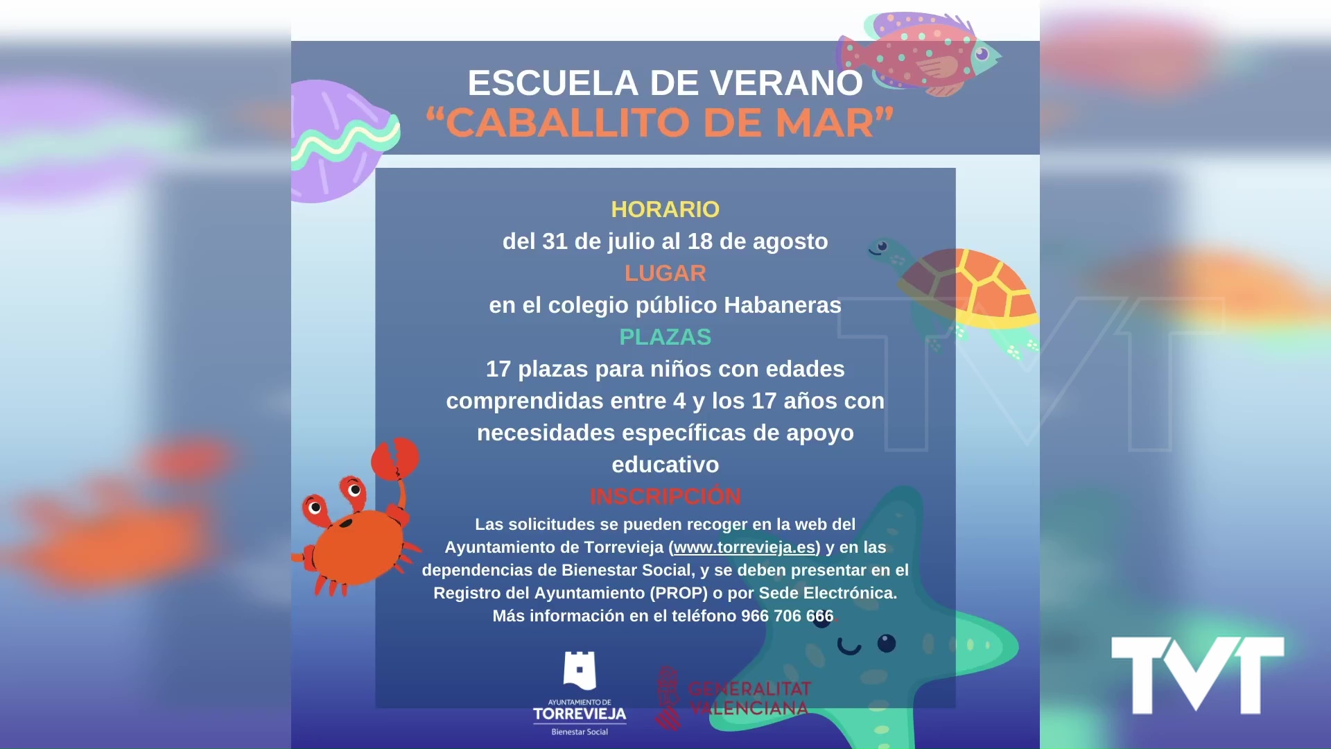 Imagen de Se abre el plazo de solicitudes para la Escuela de Verano «Caballito de Mar»