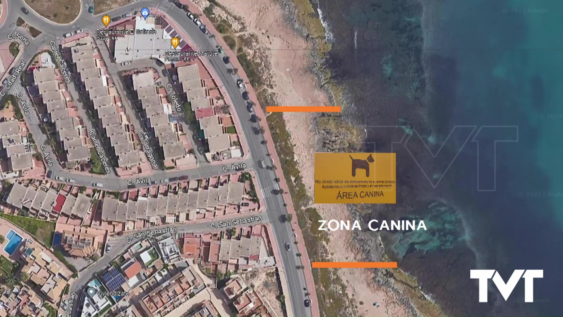 Imagen de Sueña Torrevieja propone la creación de una playa canina en Cabo Cervera
