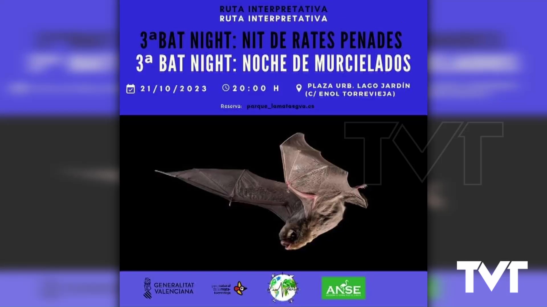 Imagen de El 21 de octubre se celebrará la tercera edición de «Bat-Night» en el Parque Natural