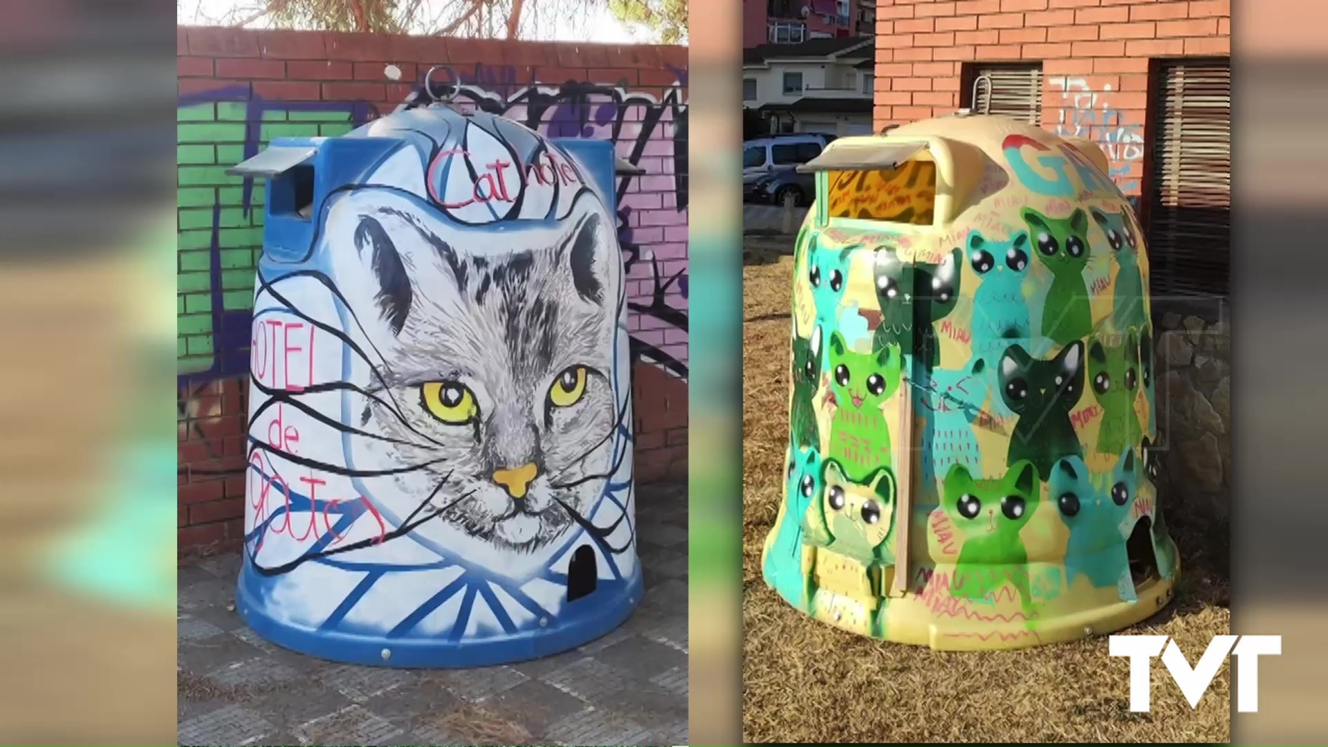 Imagen de Sueña Torrevieja propone convertir contenedores de vidrio en desuso como refugio felino 