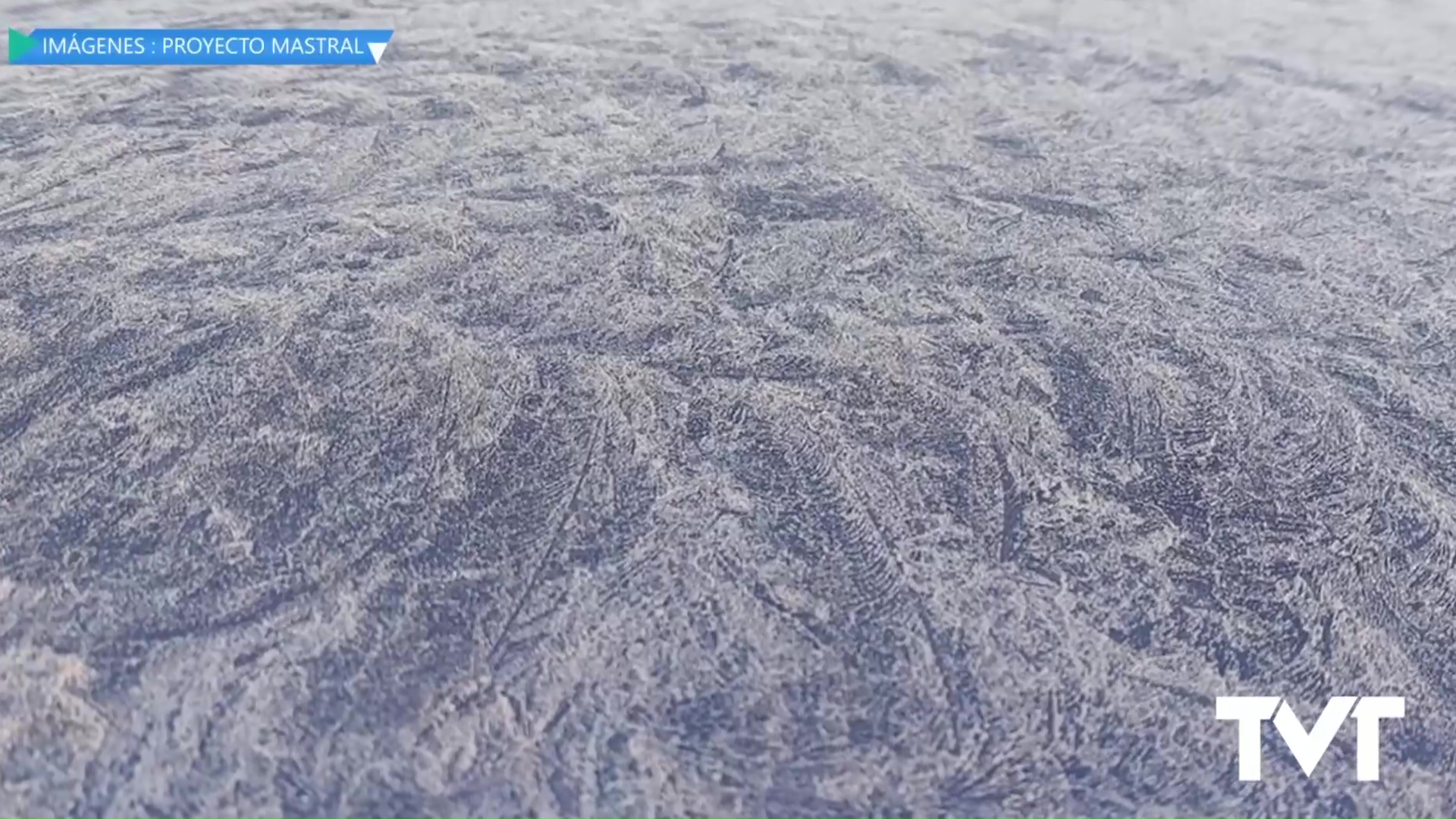 Imagen de Torrevieja ha registrado una mínima de 1,6 grados en Los Balcones 
