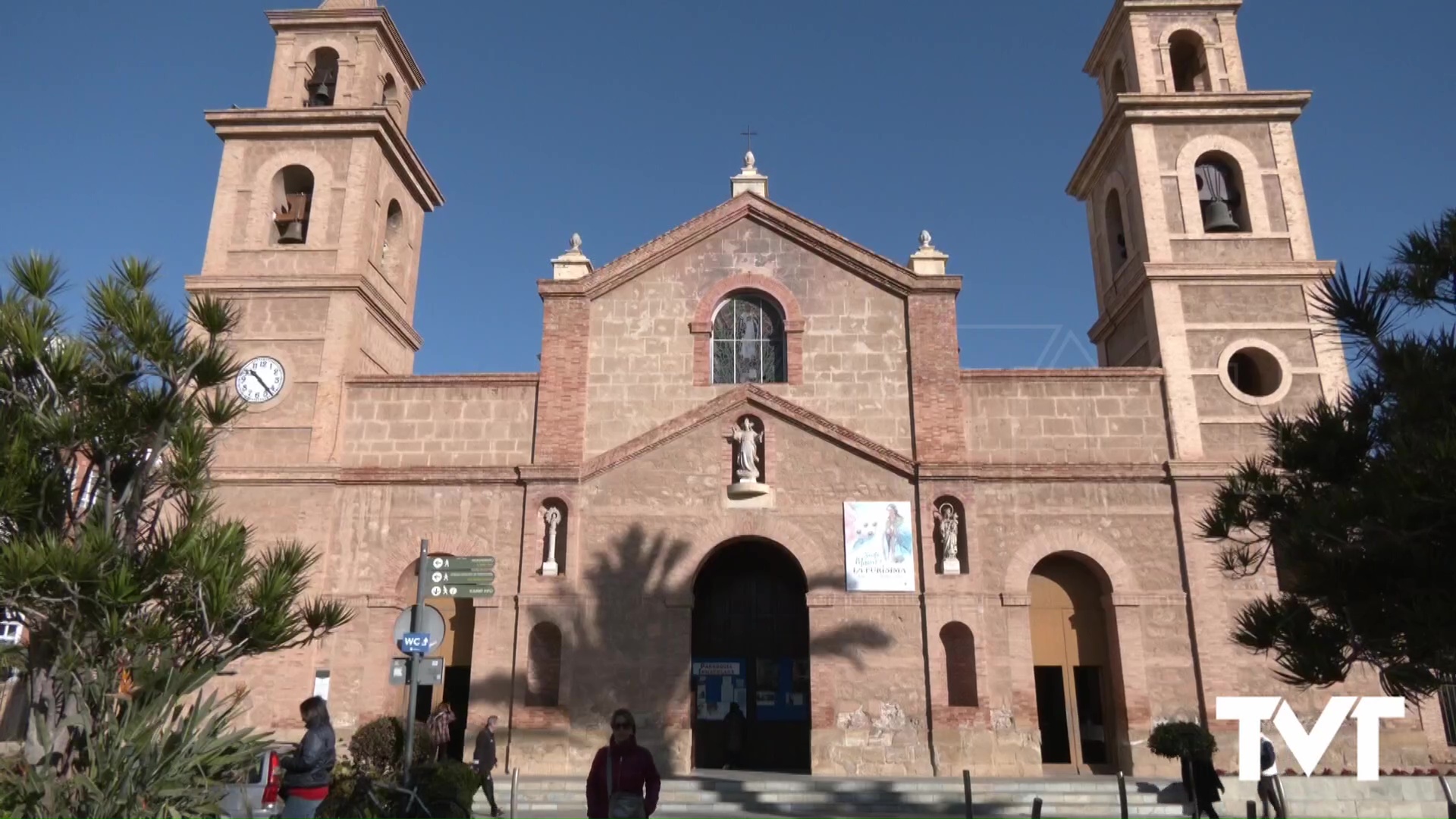 Imagen de Reaparece en Torrevieja tras más de 40 décadas un ejemplar de una joya botánica: «la lechera de las dunas» 