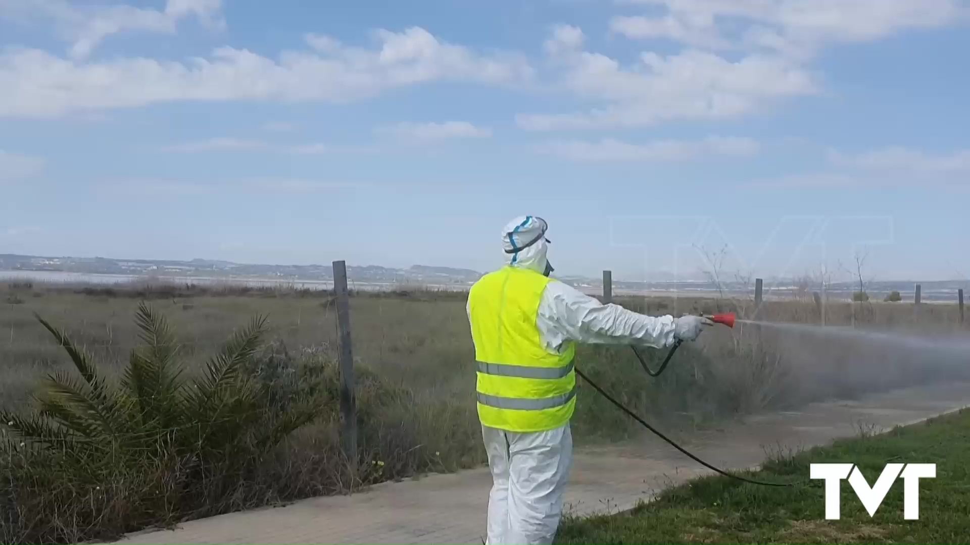 Imagen de Aprobado el expediente de contratación del servicio integral de control de plagas