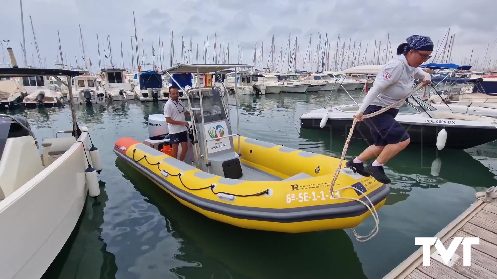 Imagen de Protegiendo a la posidonia en la Comunidad Valenciana y en el litoral de Torrevieja 