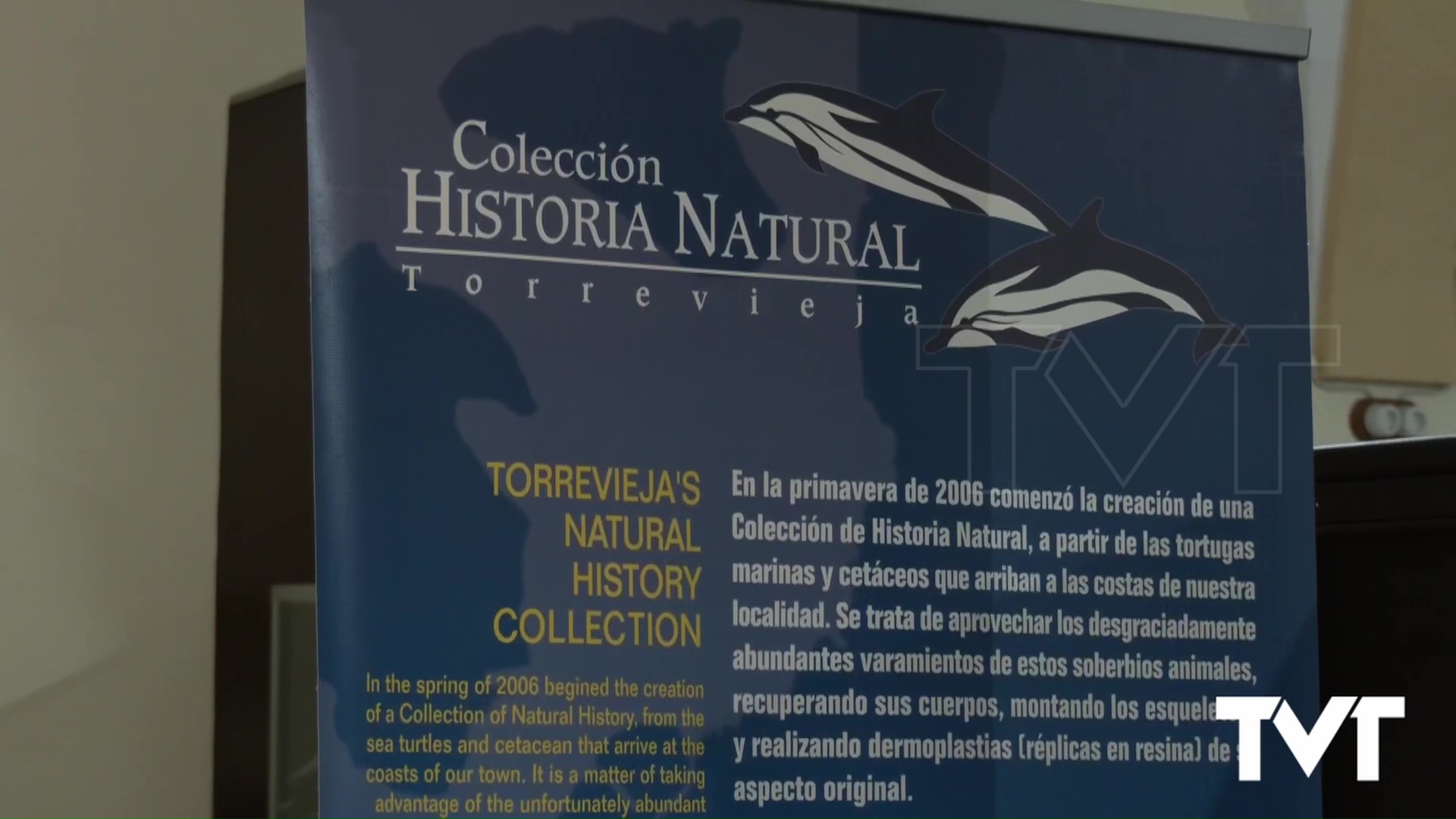 Imagen de El 2 de marzo se reanudan las visitas guiadas en el Museo de Historia Natural 