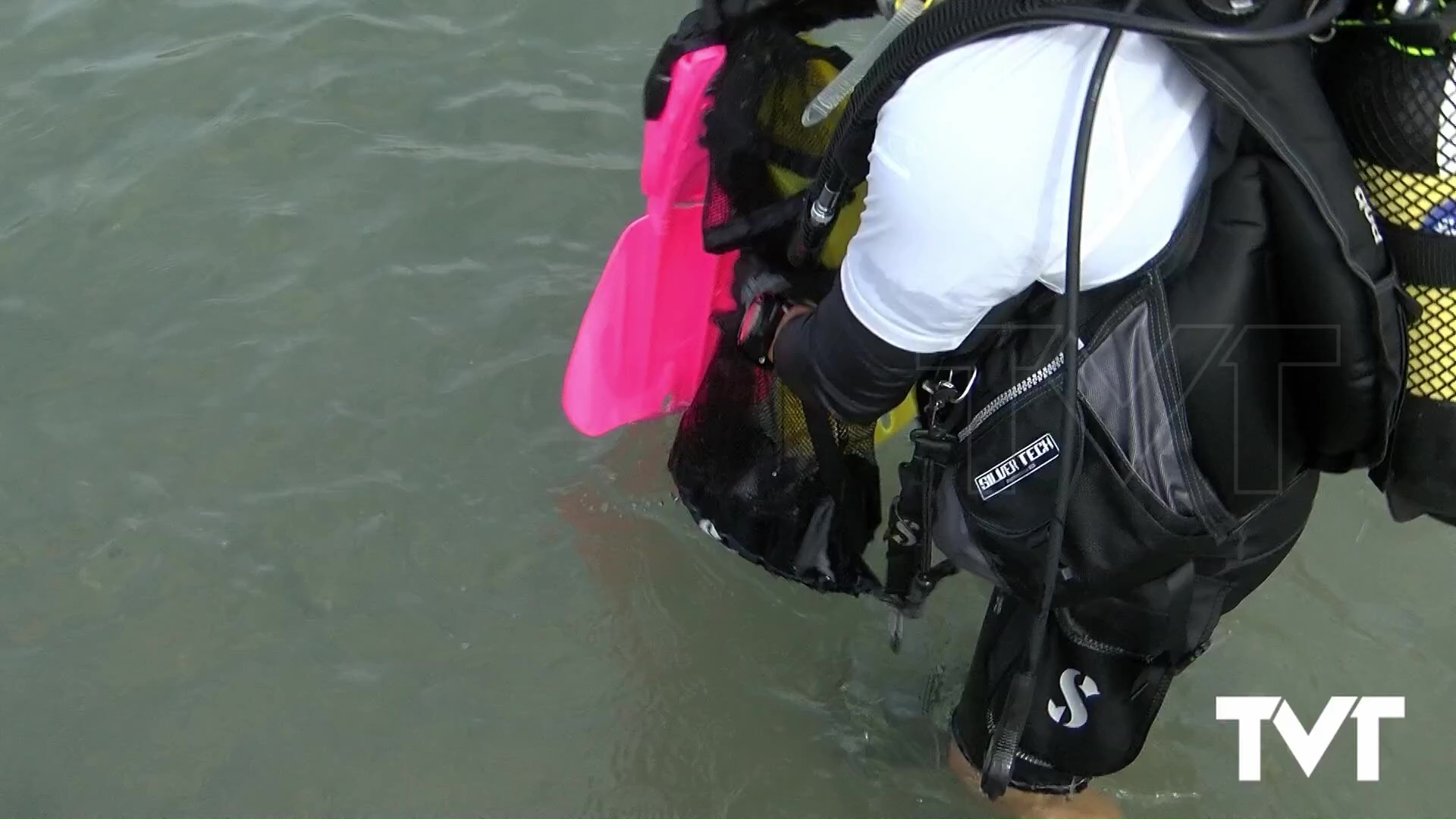 Imagen de La playa de La Mata acoge una jornada de recogida y catalogación de residuos 