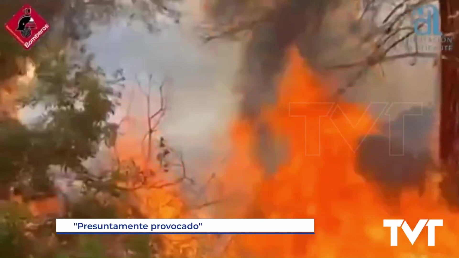 Imagen de Bomberos de Torrevieja intervienen en un incendio forestal presuntamente provocado en Guardamar del Segura
