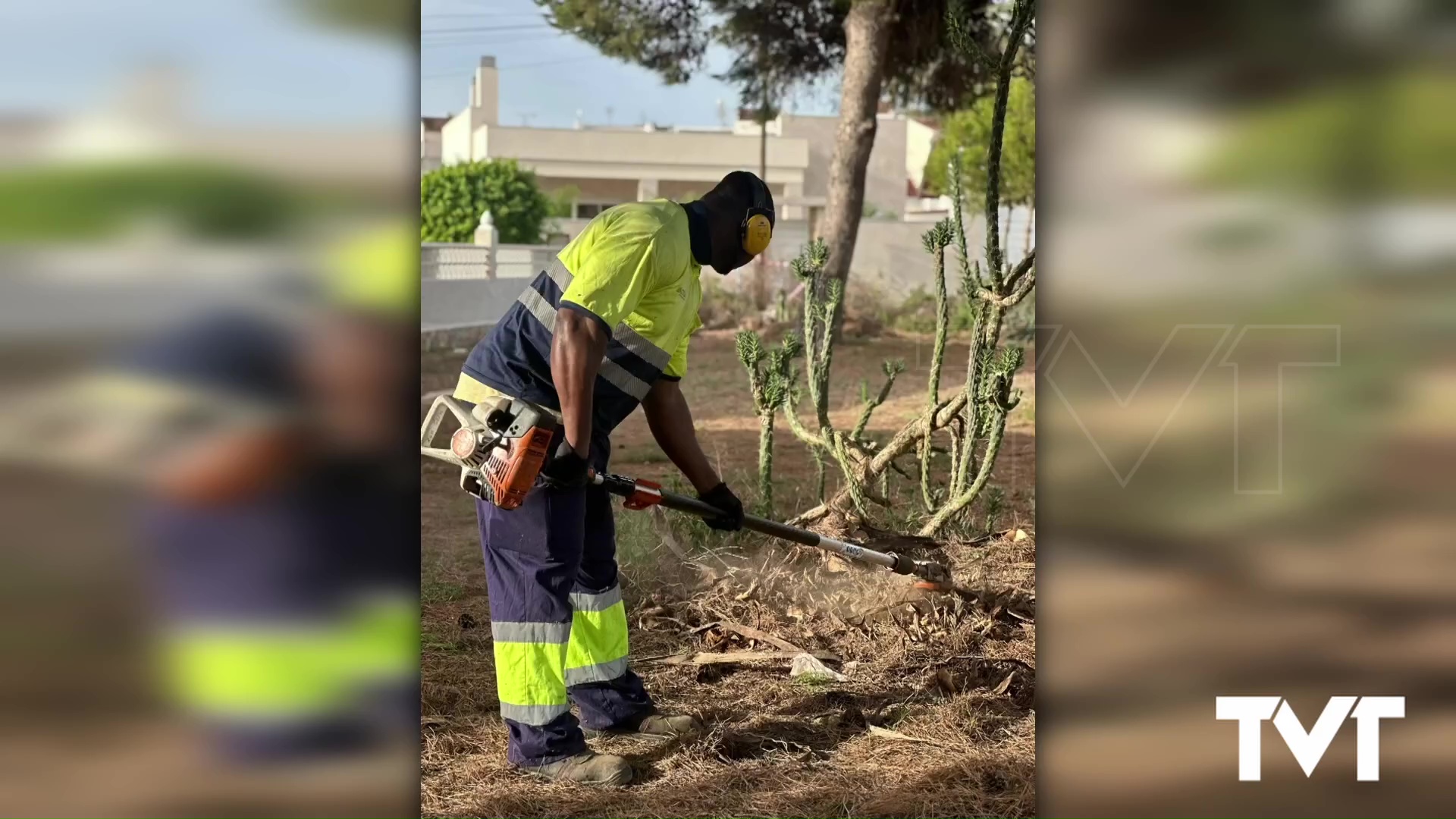 Imagen de Actuaciones de mejora de los espacios verdes de la urbanización Los Ángeles 