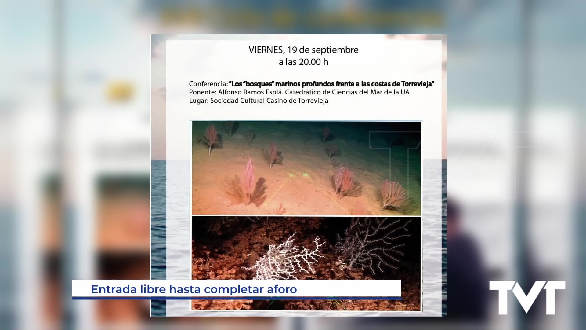 Imagen de Bosques submarinos y homenaje a Andrés Javaloy en el XVII Ciclo de conferencias de Ars Creatio