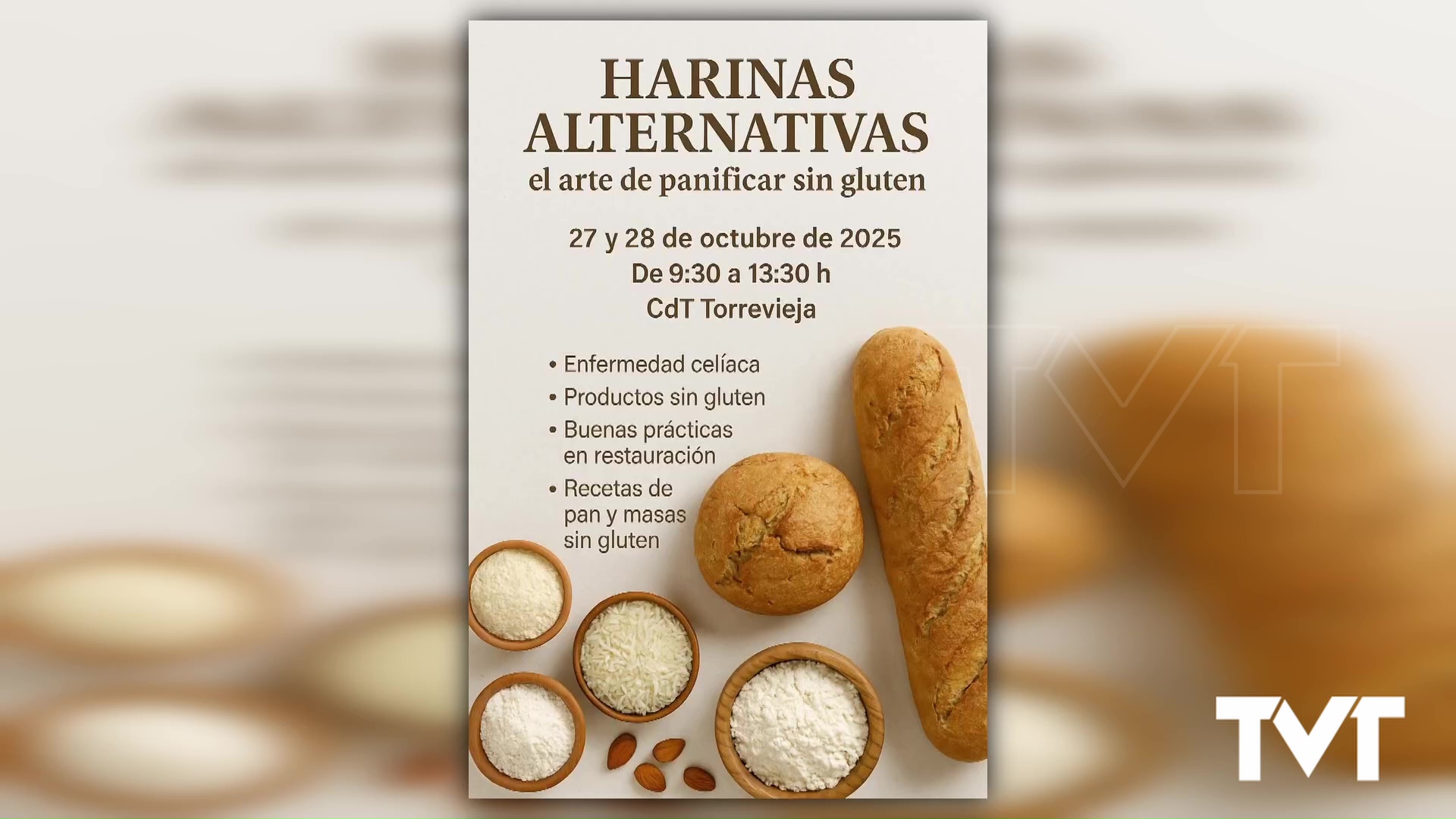 Imagen de Curso de Harinas alternativas, Encuentro de Asociaciones o taller de refugios para murciélagos nos esperan en Torrevieja 