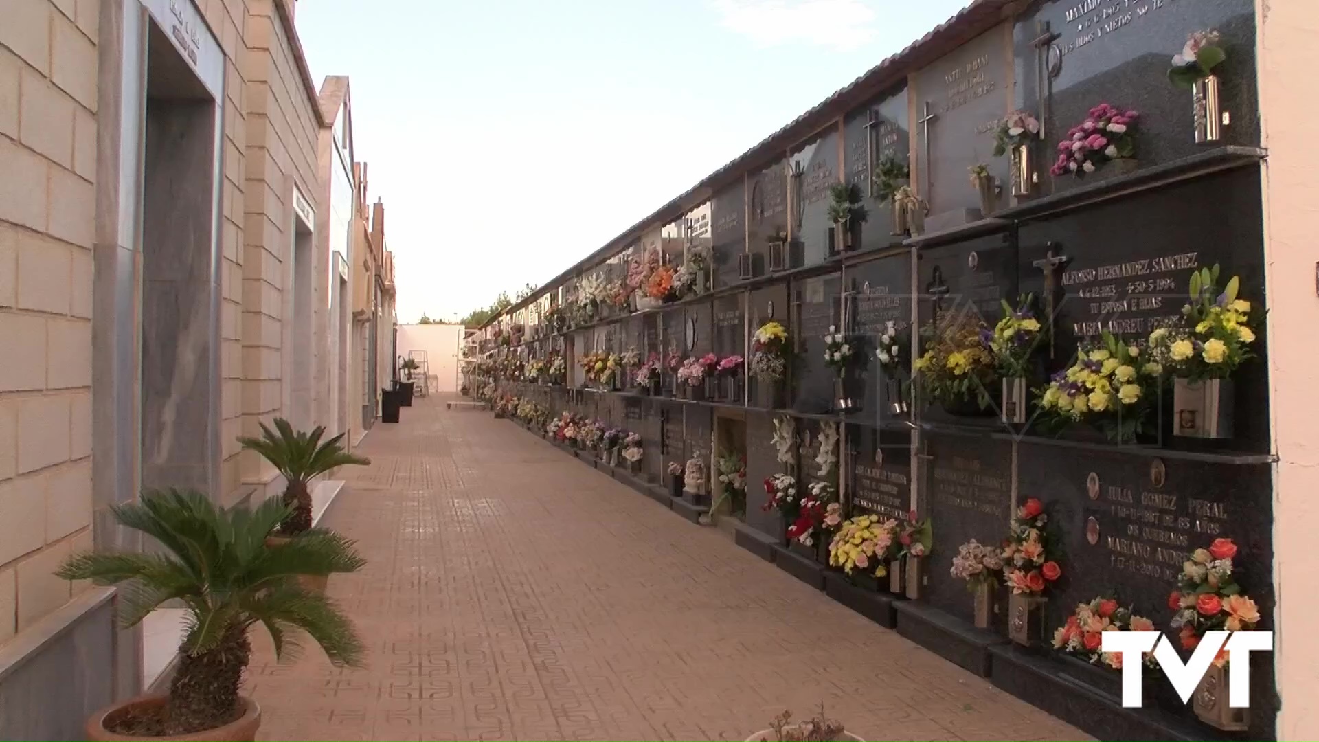 Imagen de El jueves, 30 de octubre, comienza el operativo especial de autobuses para la festividad de todos los santos