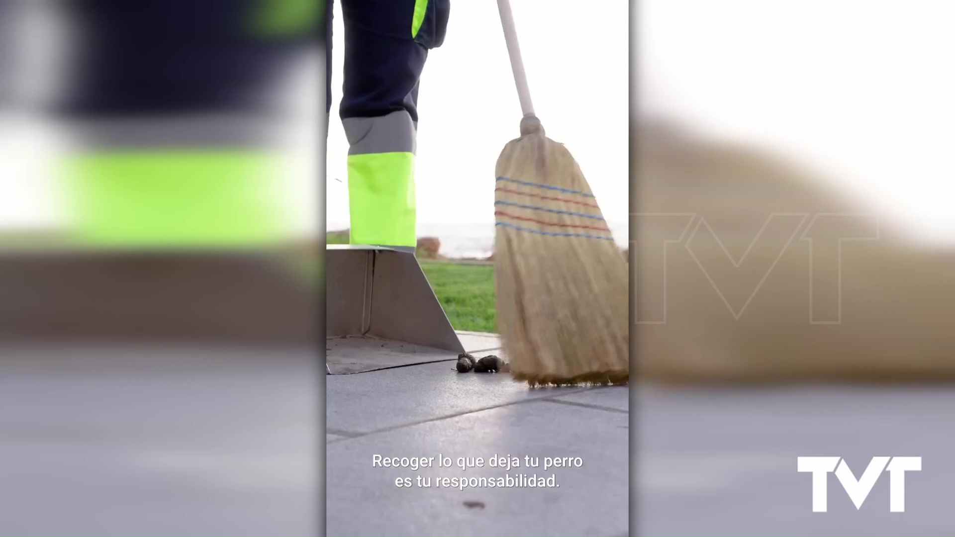 Imagen de La sanción por no recoger las deposiciones de nuestra mascota pueden ser de 150 euros