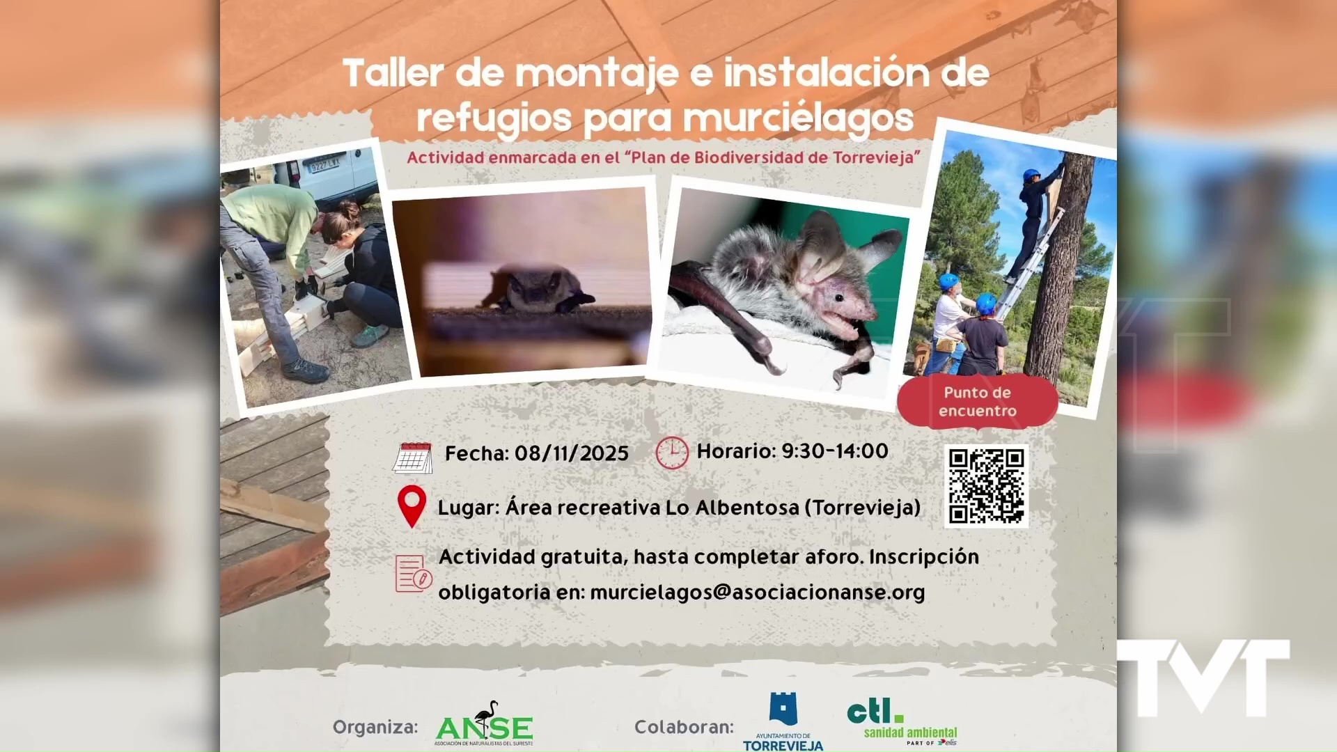 Imagen de Participa en el taller de montaje e instalación de refugios para murciélagos en Torrevieja 