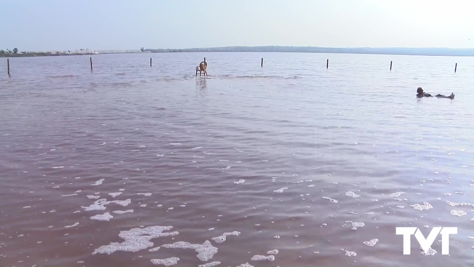 Imagen de Conoce el proyecto de investigación sobre los efectos antioxidantes o anticancerígenos de los carotenoides  presentes en los microorganismos de la Laguna de Torrevieja