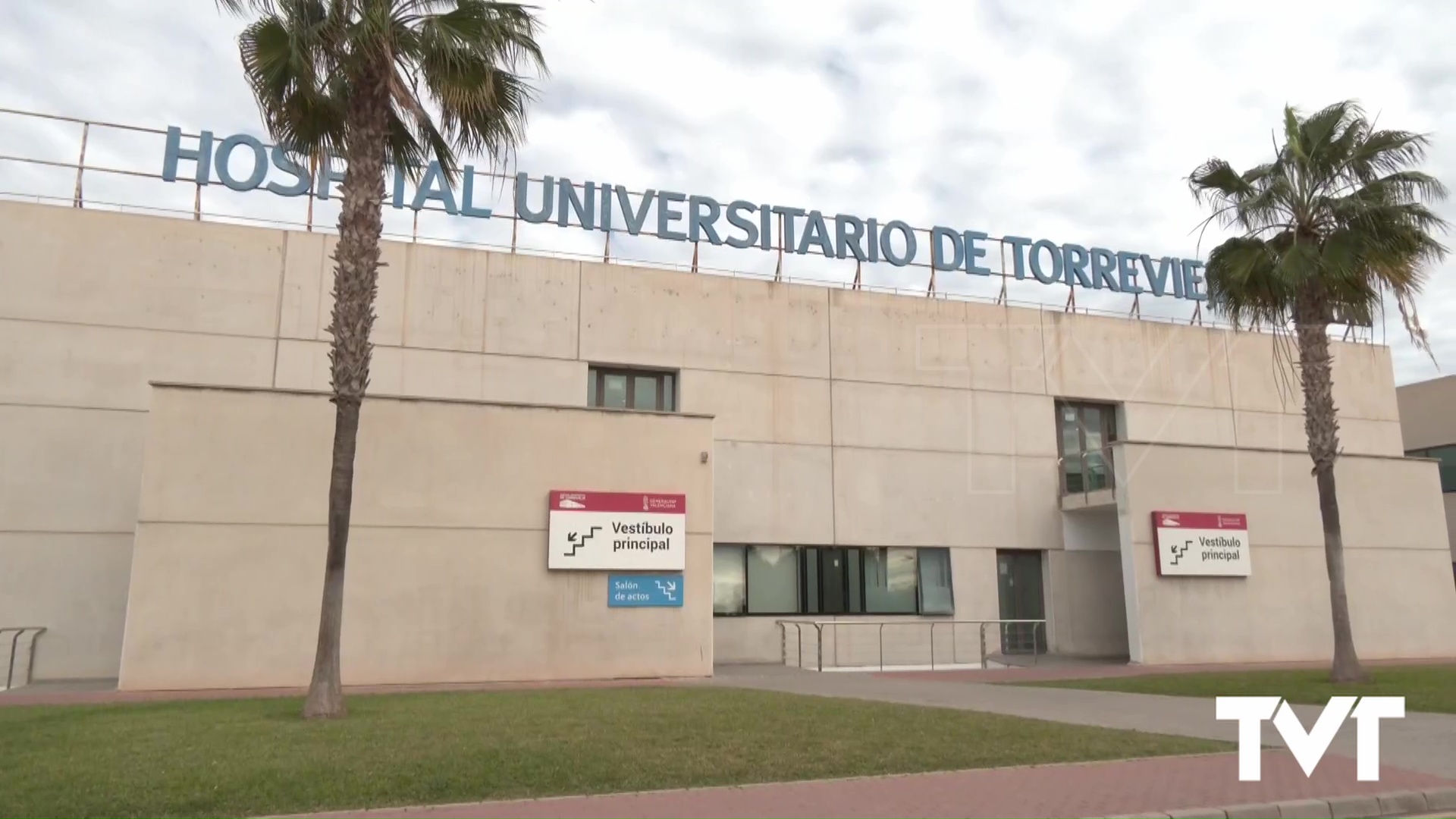 Imagen de Contra la violencia de género: Respeto, igualdad y corresponsabilidad 