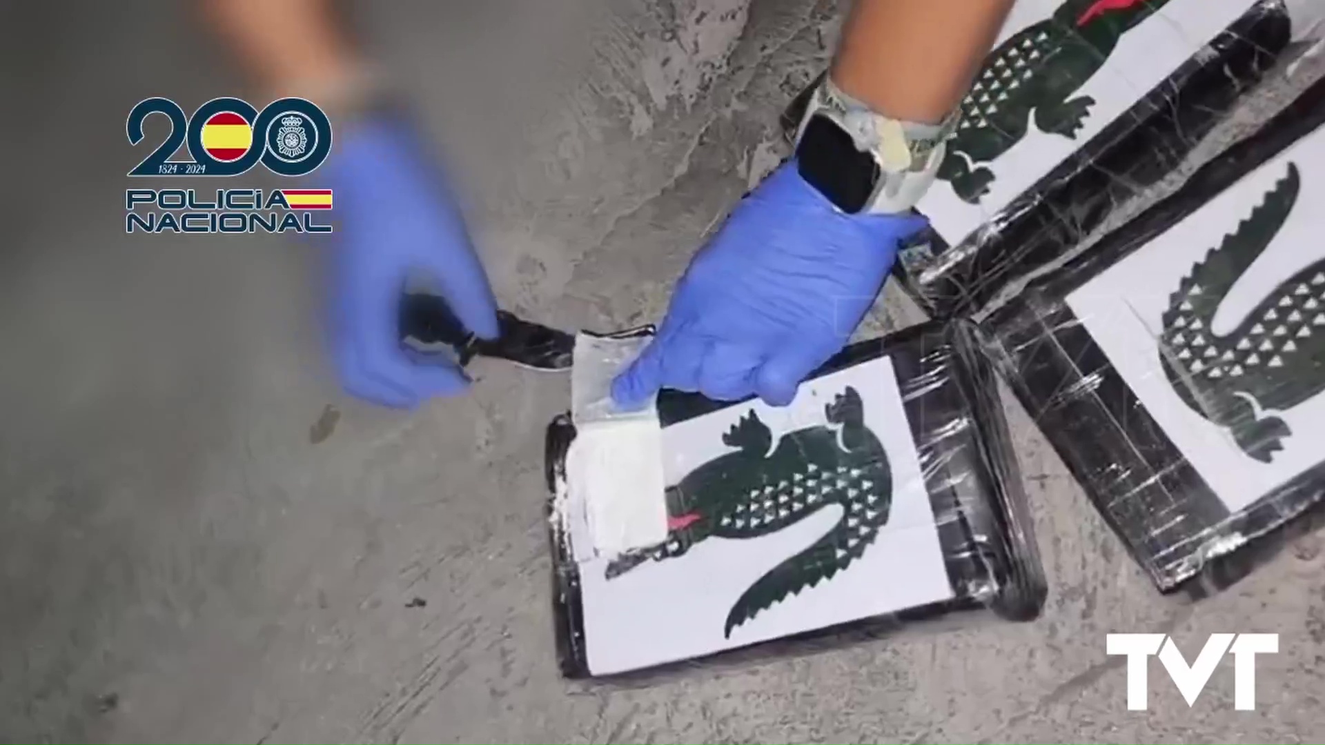 Imagen de Detenidos en Torrevieja un padre y su hija por presuntos delitos de tráfico de droga, tenencia ilícita de armas y blanqueo 