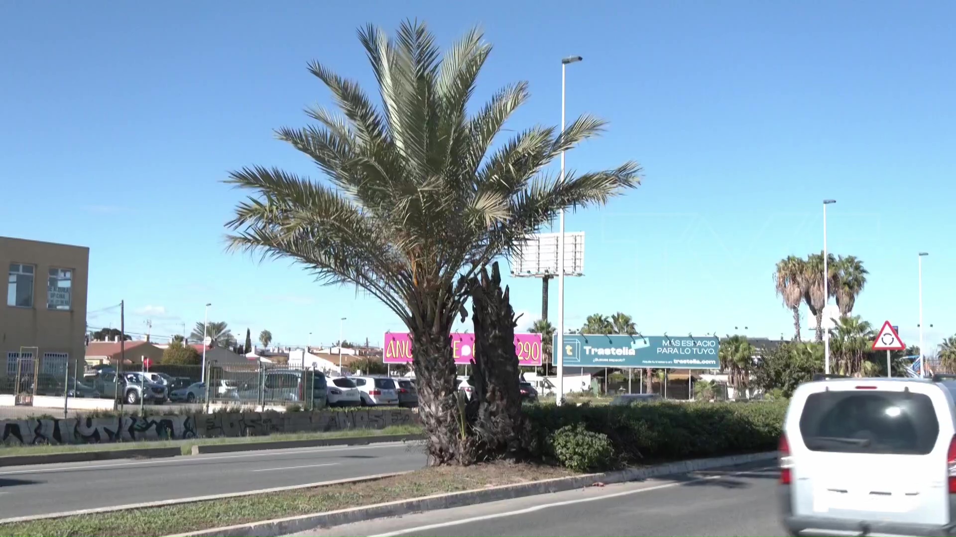 Imagen de Bárbara Soler: «Alguien tiene que asumir responsabilidades» 