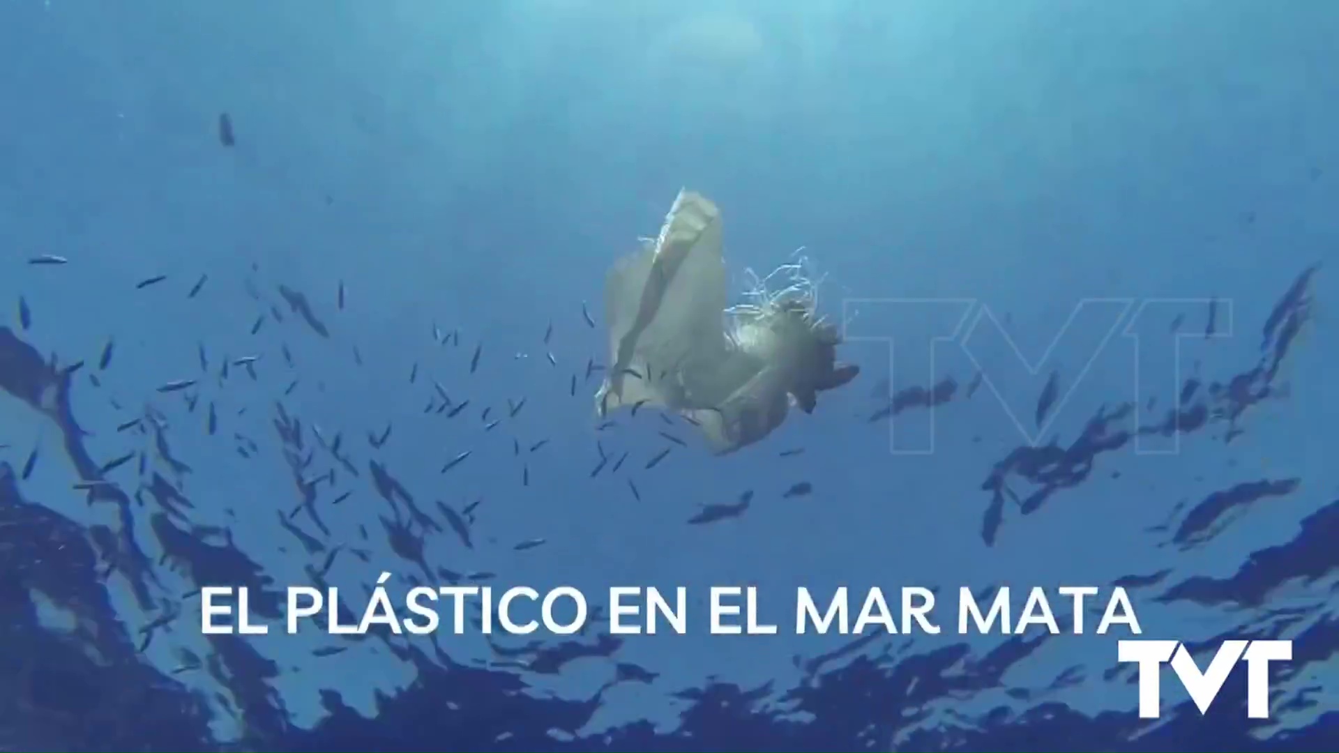 Imagen de Menos plástico es más mar