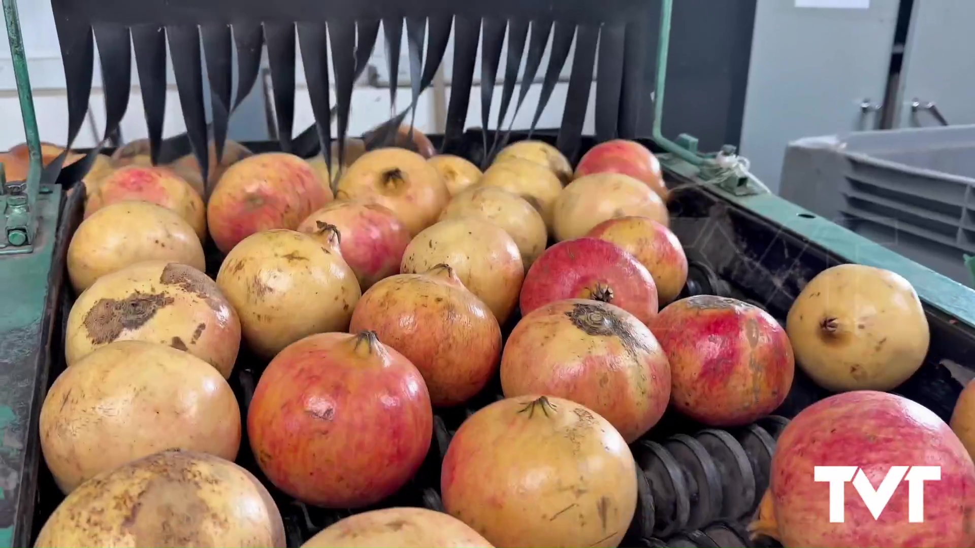 Imagen de 200 cajas de granadas viajan a una docena de países y más de 20 provincias españolas por Navidad