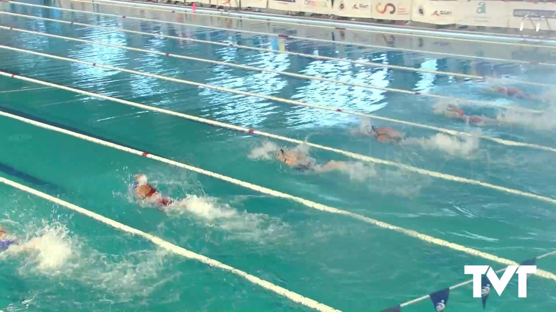 Imagen de Un centenar de nadadores participan en el Control libre Alevín de Invierno en Torrevieja
