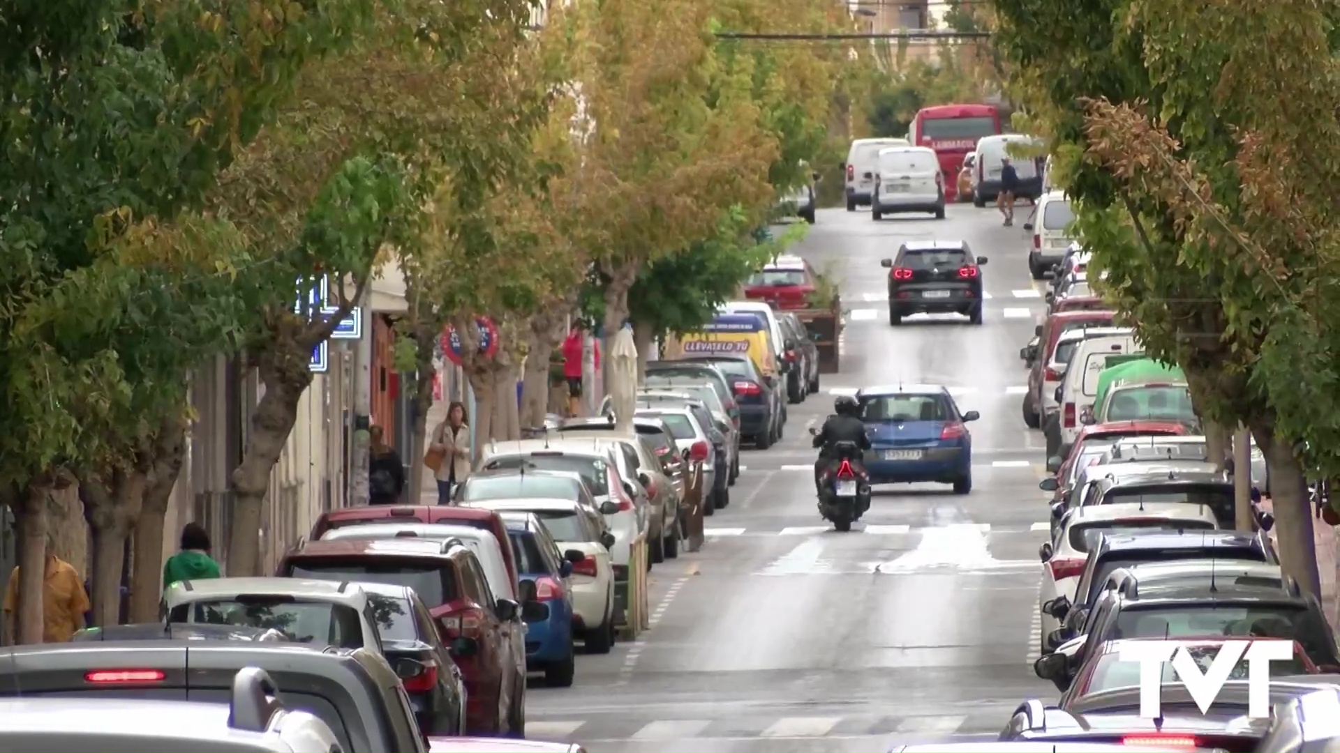 Imagen de Vox Torrevieja presenta una moción para impulsar un plan municipal de arbolado urbano