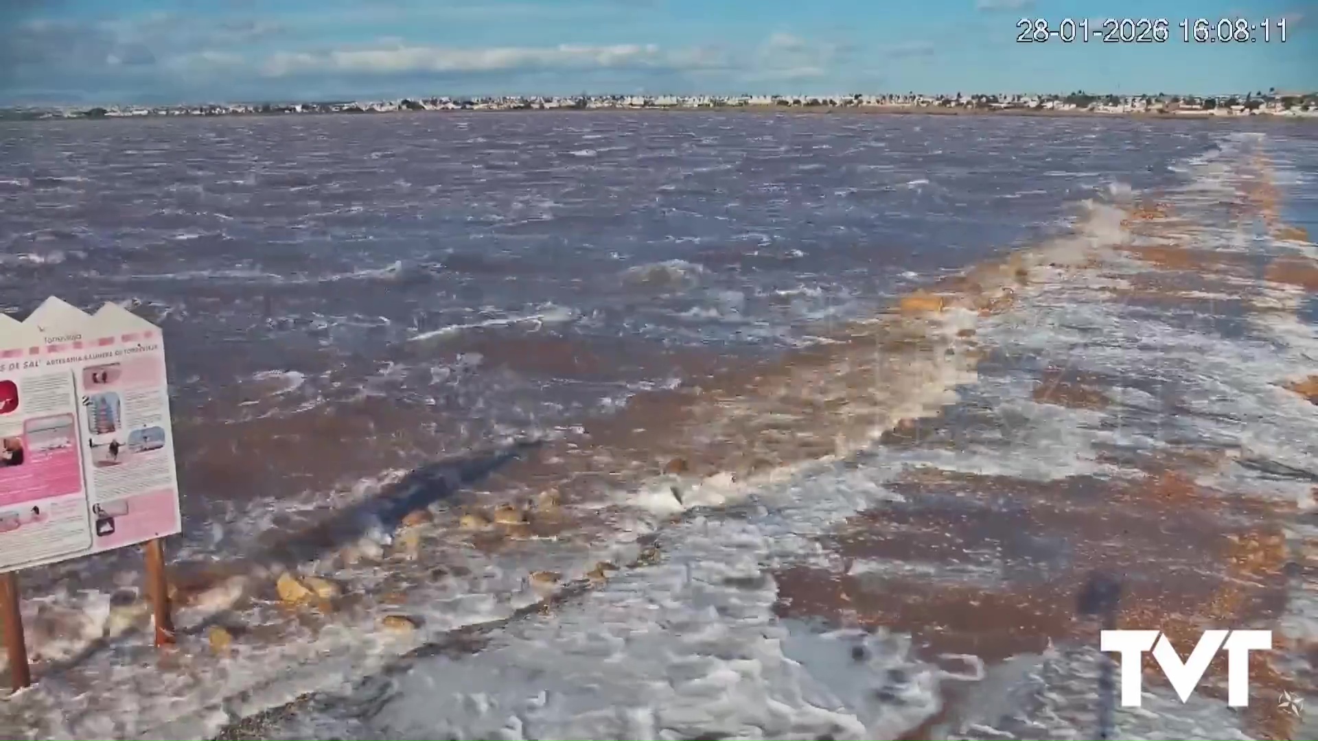 Imagen de Las fuertes rachas de viento han superado en Torrevieja los 100km/h provocando la caída de varios árboles