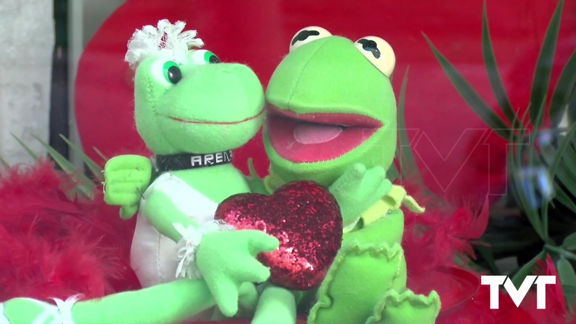 Imagen de San Valentín inunda los escaparates comerciales de Torrevieja 