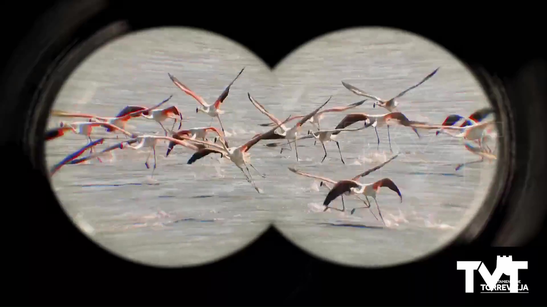 Imagen de Guía de rutas guiadas y gratuitas 2026 por el Parque Natural y Paraje del Molino del Aguad