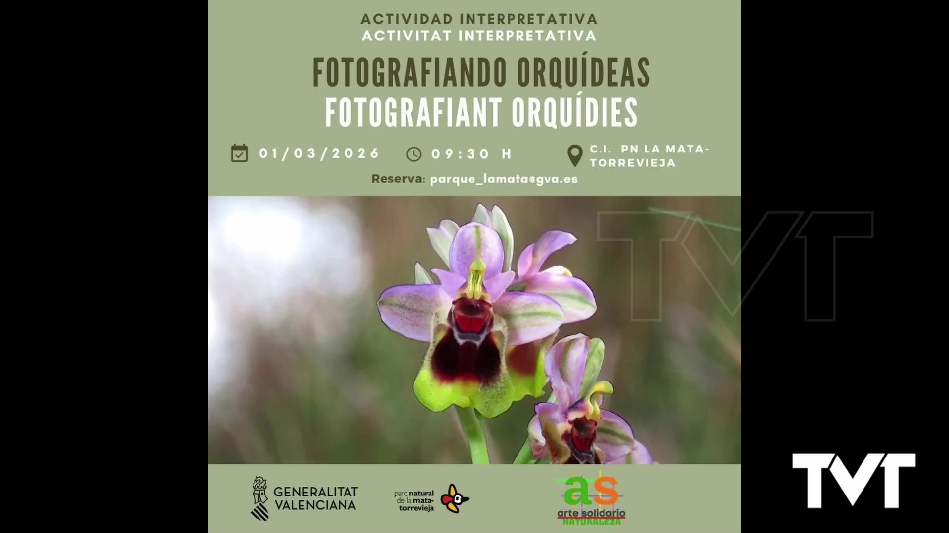 Imagen de El Parque Natural organiza una ruta para observar y fotografiar orquídeas silvestres