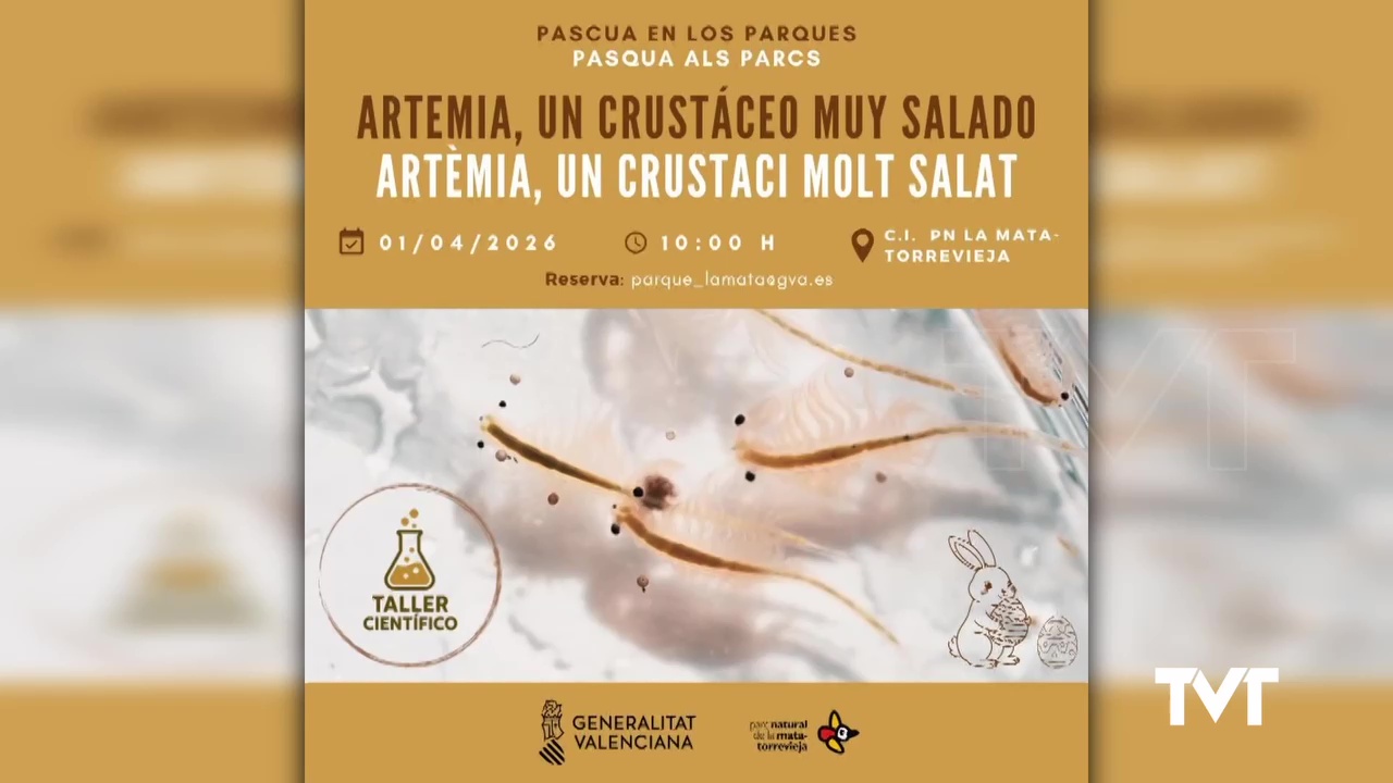 Imagen de El Parque Natural nos invita a un interesante taller sobre la Artemia